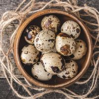 WHOLE PRESERVED CANNED QUAIL EGGS WITH