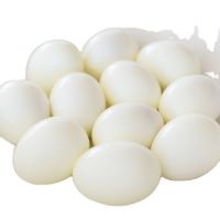 EXPORT STANDARD CANNED QUAIL EGGS IN