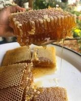 PURE RAW HONEYCOMB RICH ENZYMES AND