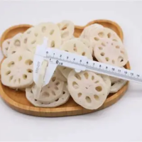 PREMIUM FROZEN LOTUS ROOTS MAINTAINING NATURAL