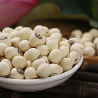 PREMIUM DRIED WHITE LOTUS SEEDS FOR