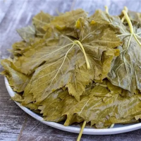 HIGH QUALITY PICKLED GRAPE LEAVES FOR