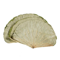 WHOLESOME DRIED LOTUS LEAF FOR DETOX