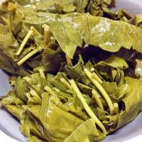 NATURAL PICKLED GRAPE LEAVES FOR QUICK