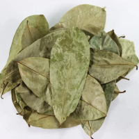 NATURAL SOURSOP LEAVES FOR DETOX BALANCE