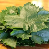 DELICIOUS PICKLED GRAPE LEAVES FOR TRADITIONAL