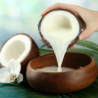 RICH COCONUT MILK FOR SMOOTH TEXTURE
