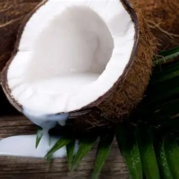 HIGH QUALITY COCONUT MILK FOR CURRIES