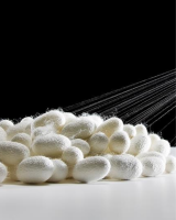 PURE SILK COCOON SHELLS EXPORT QUALITY