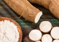 HIGH QUALITY TAPIOCA STARCH FOR NOODLES