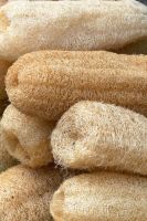 MULTIPURPOSE LOOFAH SPONGE FOR PERSONAL CARE