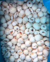WHOLESALE FROZEN LYCHEE FROM VIETNAM