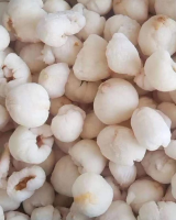 VIETNAM FROZEN LYCHEE EXPORTER â€“ BEST