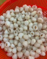 PREMIUM VIETNAMESE LYCHEE FOR EXPORT