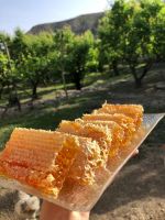 PURE RAW HONEY FOR IMMUNE SUPPORT BEAUTY RECIPES AND HEALTHY SWEETENING