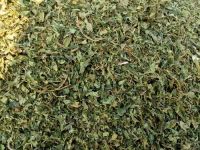 DRIED PAPAYA LEAVES FOR IMMUNE SUPPORT DETOX RELIEF AND HOLISTIC HEALTH