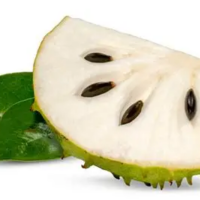 NATURAL SOURSOP FOR CLEAN LABEL MANUFACTURING