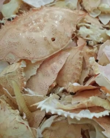 DRIED CRAB SHELL FOR CALCIUM AND