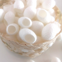 PREMIUM SILK COCOONS FOR SKIN EXFOLIATION BEAUTY CARE AND NATURAL SPA