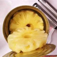 PREMIUM CANNED PINEAPPLE FOR DESSERT BAKERY BEVERAGE AND FOOD INDUSTRY