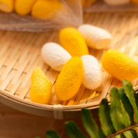 NATURAL SILK COCOONS FOR GENTLE SCRUB