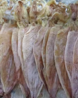 PREMIUM DRIED SHREDDED SQUID HIGH QUALITY