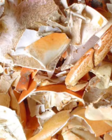 CLEAN CRAB SHELL CRUSHED AND PROCESSED