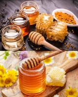 VIETNAM HONEY EXPORTER, BEST PRICE OFFER