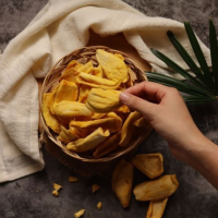VACUUM FRIED DRIED JACKFRUIT FOR CRUNCHY SWEET HEALTHY TREATS
