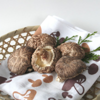 EXPORT QUALITY DRIED SHIITAKE MUSHROOMS WITH INTENSE FRAGRANCE