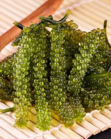 SEA GRAPE GREEN CAVIAR RICH IN