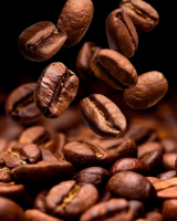 PREMIUM VIETNAMESE COFFEE BEANS / SLOW-ROASTED FOR PERFECT FLAVOR / MADE IN VIETNAM