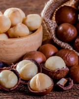PREMIUM VIETNAMESE MACADAMIA NUTS / EXPORT QUALITY