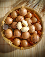 HIGH QUALITY MACADAMIA NUTS FOR EXPORT