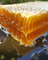 NATURAL RAW HONEYCOMB â€“ 100% PURE &amp