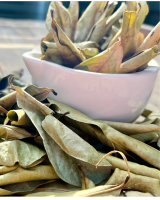 DRIED SOURSOP LEAVES &Atilde;&cent;&iuml