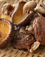 HIGH QUALITY SHIITAKE MUSHROOM / QUALITY FOR EXPORT