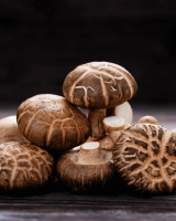 SHIITAKE MUSHROOM HIGH QUANTITY / QUALITY FOR EXPORT