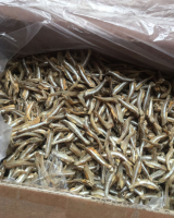 HIGH QUALITY DRIED ANCHOVY / LOW SALT
