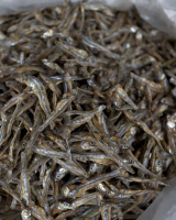 DRIED ANCHOVY EXPORT OFFER / NATURAL COLOR