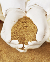 HIGH QUALITY VIETNAM ORIGIN FISH MEAL