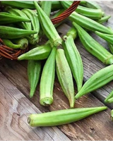 IQF FROZEN OKRA PREMIUM EXPORT QUALITY