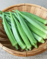 PREMIUM QUALITY FROZEN OKRA FOR EXPORT