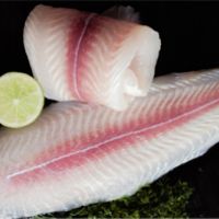 HIGH QUALITY FROZEN PANGASIUS FILLET LIGHT