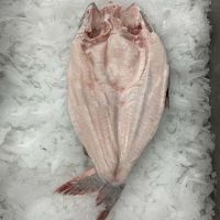 FROZEN PANGASIUS FILLET WELL-TRIMMED HIGH QUALITY FOR EXPORT