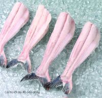 VIETNAM FROZEN PANGASIUS BASA FILLET ALL SIZES FOR EXPORT