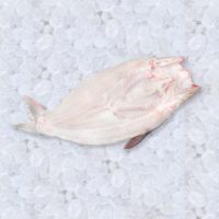 IQF FROZEN PANGASIUS FILLET WHITE FLESH