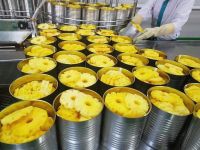 PREMIUM CANNED PINEAPPLE IN JUICE / SYRUP - HIGH QUALITY EXPORT GRADE