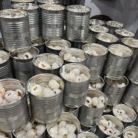 PREMIUM CANNED LYCHEE IN HEAVY SYRUP - HIGH QUALITY EXPORT GRADE
