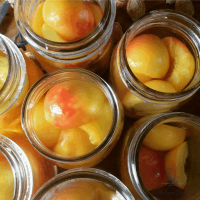 YELLOW CANNED PEACH FRUIT IN TIN